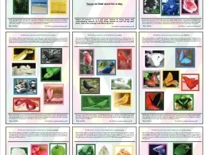 Balance with Colour Combined A1 Poster (PDF)