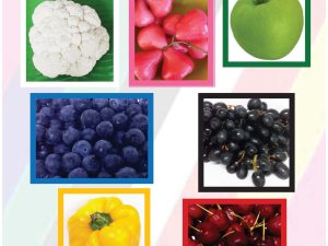 Balance with Colour Fruits or Veges A1 Poster (PDF)
